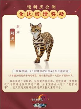 火龙极品天龙八部私服